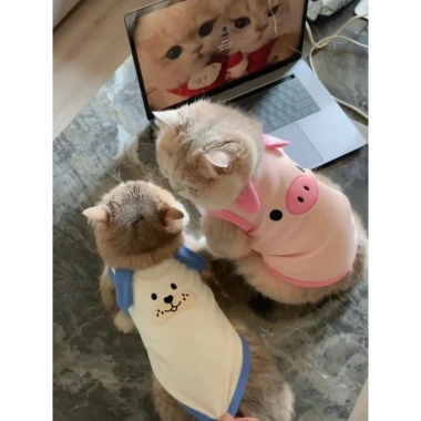 Áo ba lỗ HIPIDOG dáng mỏng thoáng khí họa tiết kẻ sọc xinh xắn cho cún và mèo cưng