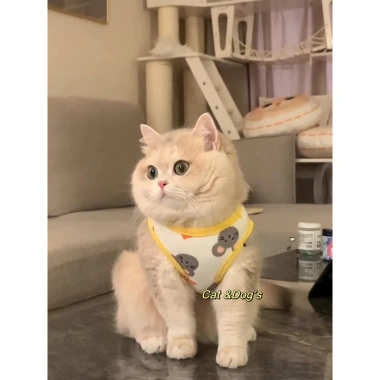 Áo ba lỗ HIPIDOG dáng mỏng thoáng khí họa tiết kẻ sọc xinh xắn cho cún và mèo cưng 4 Áo ba lỗ HIPIDOG dáng mỏng thoáng khí họa tiết kẻ sọc xinh xắn cho cún và mèo cưng 4
