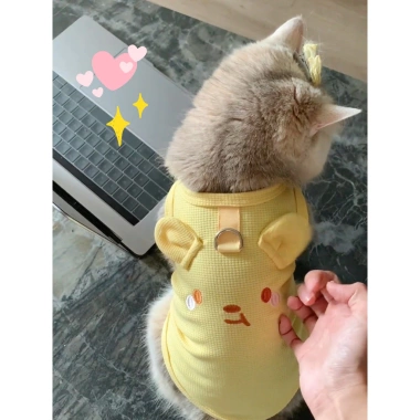 Áo ba lỗ HIPIDOG dáng mỏng thoáng khí họa tiết kẻ sọc xinh xắn cho cún và mèo cưng