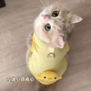 Áo ba lỗ HIPIDOG dáng mỏng thoáng khí họa tiết kẻ sọc xinh xắn cho cún và mèo cưng 8