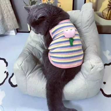 Áo ba lỗ sọc màu thoáng khí cho mèo chó nhỏ - họa tiết hoa tulip 3D, có sẵn, mặc quanh năm, giá ưu đãi 182.964₫