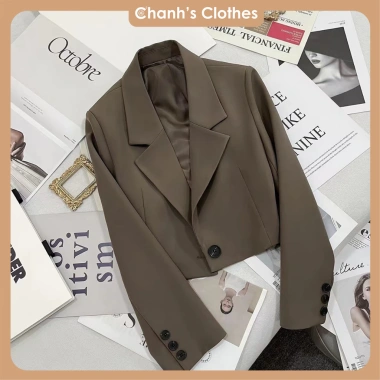 Áo Blazer form ngắn nữ Hàn Quốc 3 màu cúc Hot 2.024 - FREE SHIP - Chỉ 220k 4 Áo Blazer form ngắn nữ Hàn Quốc 3 màu cúc Hot 2.024 - FREE SHIP - Chỉ 220k 4