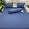 Áo bọc nệm kéo khoá 2 mặt vải thun Siêu Hàn Quốc - Ga bảo vệ nệm cao cấp, giá chỉ 100.010₫ 4