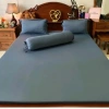 Áo bọc nệm kéo khoá 2 mặt vải thun Siêu Hàn Quốc - Ga bảo vệ nệm cao cấp, giá chỉ 100.010₫ 9