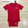 Áo Bóng Đá Đội Tuyển Việt Nam Thun Lạnh - In Tên Số Theo Yêu Cầu Giá Ưu Đãi 79.200 VND 8