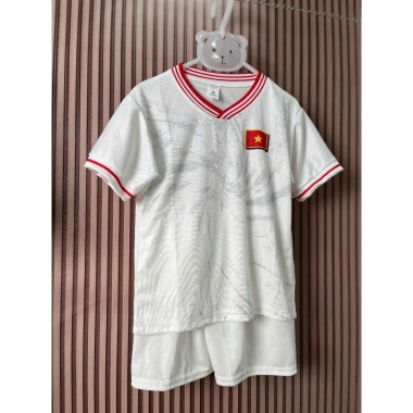 Áo Bóng Đá Đội Tuyển Việt Nam Thun Lạnh - In Tên Số Theo Yêu Cầu Giá Ưu Đãi 79.200 VND