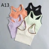 Áo Bra Nữ Ba Lỗ Viền Mút Đúc Thun Lạnh Co Giãn Thấm Hút Mồ Hôi - Giá 280.000