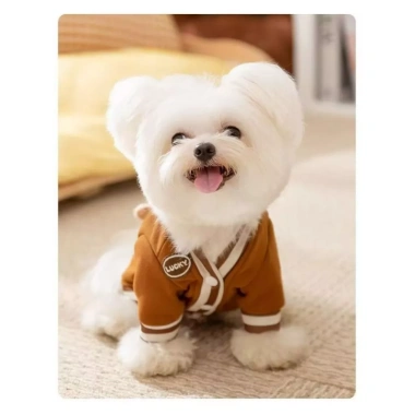 Áo Cardigan ấm áp cho chó mèo, thiết kế thời trang mới, thoáng khí mùa đông, giá ưu đãi 329.335đ