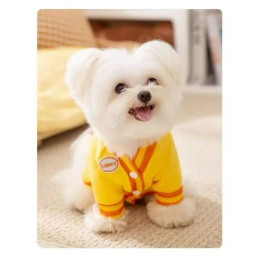 Áo Cardigan ấm áp cho chó mèo, thiết kế thời trang mới, thoáng khí mùa đông, giá ưu đãi 329.335đ 6 Áo Cardigan ấm áp cho chó mèo, thiết kế thời trang mới, thoáng khí mùa đông, giá ưu đãi 329.335đ 6