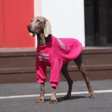 Áo chó dài tay chống rụng lông, không bí, thoáng khí, polyester co giãn, phù hợp cho Golden Retriever, Border Collie, Labrador lớn - mùa thu/đông