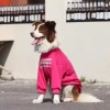 Áo chó dài tay chống rụng lông, không bí, thoáng khí, polyester co giãn, phù hợp cho Golden Retriever, Border Collie, Labrador lớn - mùa thu/đông 5