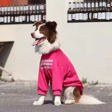 Áo chó dài tay chống rụng lông, không bí, thoáng khí, polyester co giãn, phù hợp cho Golden Retriever, Border Collie, Labrador lớn - mùa thu/đông 5 Áo chó dài tay chống rụng lông, không bí, thoáng khí, polyester co giãn, phù hợp cho Golden Retriever, Border Collie, Labrador lớn - mùa thu/đông 5