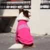 Áo chó dài tay chống rụng lông, không bí, thoáng khí, polyester co giãn, phù hợp cho Golden Retriever, Border Collie, Labrador lớn - mùa thu/đông 7