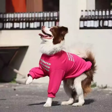 Áo chó dài tay chống rụng lông, không bí, thoáng khí, polyester co giãn, phù hợp cho Golden Retriever, Border Collie, Labrador lớn - mùa thu/đông