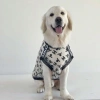 Áo chó lưới mát lạnh siêu thoáng, không tay nhẹ 12‑47kg, chống bám lông, dễ giặt mùa hè cho Labrador, Husky, Shiba, Corgi 2