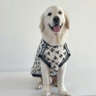 Áo chó lưới mát lạnh siêu thoáng, không tay nhẹ 12‑47kg, chống bám lông, dễ giặt mùa hè cho Labrador, Husky, Shiba, Corgi 2
