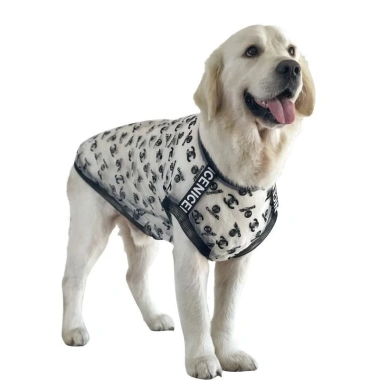 Áo chó lưới mát lạnh siêu thoáng, không tay nhẹ 12‑47kg, chống bám lông, dễ giặt mùa hè cho Labrador, Husky, Shiba, Corgi 4