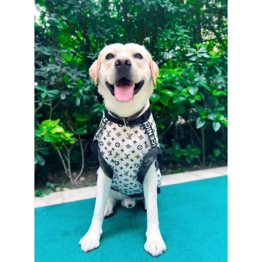 Áo chó lưới mát lạnh siêu thoáng, không tay nhẹ 12‑47kg, chống bám lông, dễ giặt mùa hè cho Labrador, Husky, Shiba, Corgi 6