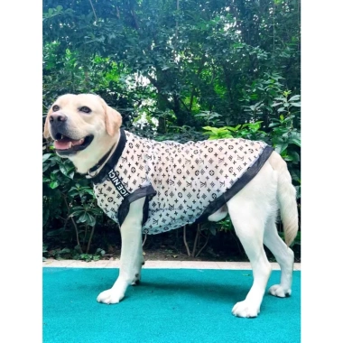 Áo chó lưới mát lạnh siêu thoáng, không tay nhẹ 12‑47kg, chống bám lông, dễ giặt mùa hè cho Labrador, Husky, Shiba, Corgi 8
