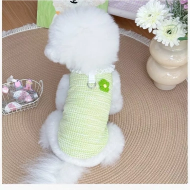 Áo chó mèo cổ tích vải mỏng thoáng khí, dây dẫn cho Teddy Bichon – áo mềm mại