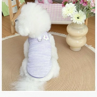 Áo chó mèo cổ tích vải mỏng thoáng khí, dây dẫn cho Teddy Bichon – áo mềm mại