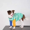 Áo chó size lớn sọc phối màu tay dài thoáng khí, không gây kích ứng, phù hợp 4 mùa, giảm rụng lông cho Golden, Border Collie, Labrador, độ bền cao - 406.988 VND