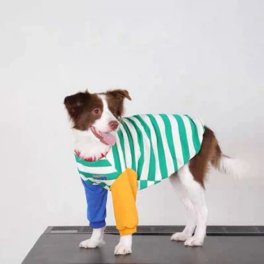 Áo chó size lớn sọc phối màu tay dài thoáng khí, không gây kích ứng, phù hợp 4 mùa, giảm rụng lông cho Golden, Border Collie, Labrador, độ bền cao - 406.988 VND