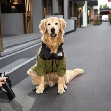 Áo chó size lớn tay dài khóa kéo giữ ấm xanh quân đội giảm rụng lông cho chó trung và lớn