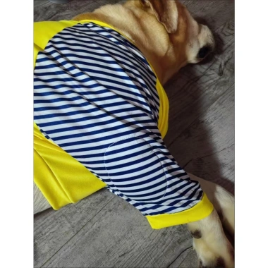 Áo chó thoáng khí bảo vệ khuỷu, kẻ sọc tay dài, polyester, cho các giống lớn, mặc quanh năm 6 Áo chó thoáng khí bảo vệ khuỷu, kẻ sọc tay dài, polyester, cho các giống lớn, mặc quanh năm 6