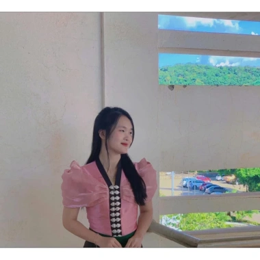 Áo cóm cổ V phi bóng hồng nẹp đen 2 cánh bươm tay riềm Giá chỉ 250.000đ 2
