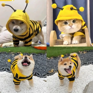Áo Cosplay Ong Dễ Thương cho Mèo & Chó - Chống Rơi, Ấm Áp, Giá Ưu Đãi 110,551₫ 2