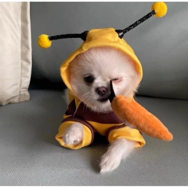 Áo Cosplay Ong Dễ Thương cho Mèo & Chó - Chống Rơi, Ấm Áp, Giá Ưu Đãi 110,551₫ 4