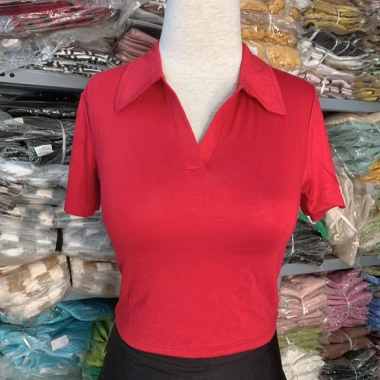 Áo croptop cổ bẻ cộc tay dáng Hàn thời trang nữ thoáng mát phong cách giảm giá 23k 6 Áo croptop cổ bẻ cộc tay dáng Hàn thời trang nữ thoáng mát phong cách giảm giá 23k 6