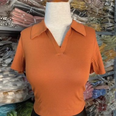 Áo croptop cổ bẻ cộc tay dáng Hàn thời trang nữ thoáng mát phong cách giảm giá 23k 7 Áo croptop cổ bẻ cộc tay dáng Hàn thời trang nữ thoáng mát phong cách giảm giá 23k 7