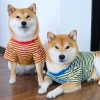 Áo ghi-lê thú cưng thoáng khí, giảm rụng lông mùa hè mỏng nhẹ cho mèo chó nhỏ - French Bulldog, Corgi, thỏ, kẻ sọc 4