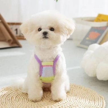 Áo ghi‑lê thú cưng mùa hè lưới thoáng khí, dây quai D‑ring, họa tiết đám mây kẻ sọc, phù hợp Poodle Corgi Shiba 3 Áo ghi‑lê thú cưng mùa hè lưới thoáng khí, dây quai D‑ring, họa tiết đám mây kẻ sọc, phù hợp Poodle Corgi Shiba 3