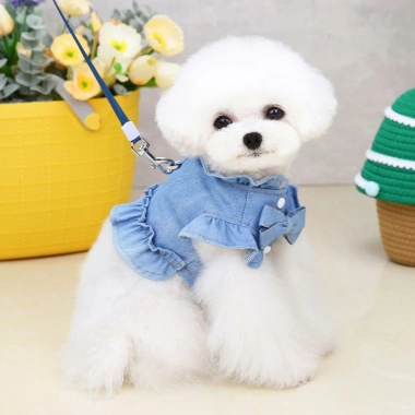 Áo gi-lê jeans váy công chúa cho mèo, vòng móc dây dắt dễ thương cho chó Teddy Poodle