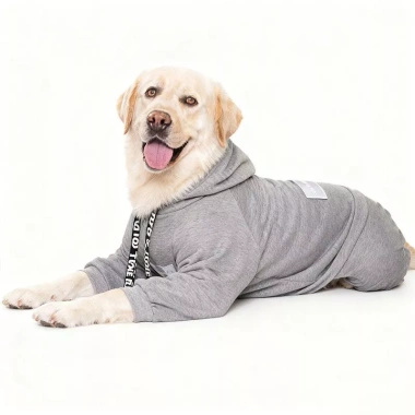 Áo hoodie chó lớn 4 chân thoáng khí, chống rụng lông, dễ mặc cho Golden, Border Collie, Labrador, Husky – Dạo phố thu đông, giá ưu đãi 449.092₫
