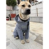 Áo hoodie chó lớn 4 chân thoáng khí, chống rụng lông, dễ mặc cho Golden, Border Collie, Labrador, Husky – Dạo phố thu đông, giá ưu đãi 449.092₫ 7