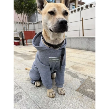 Áo hoodie chó lớn 4 chân thoáng khí, chống rụng lông, dễ mặc cho Golden, Border Collie, Labrador, Husky – Dạo phố thu đông, giá ưu đãi 449.092₫