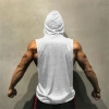 Áo hoodie không tay thể thao thời trang nam - Giá 120.959 VND, giảm giá 2