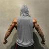 Áo hoodie không tay thể thao thời trang nam - Giá 120.959 VND, giảm giá 4