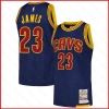 Áo jersey LeBron James chính hãng Cleveland Cavaliers mùa giải 2.015/16 cho trẻ em & người lớn - Giá ưu đãi 114,480₫