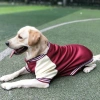 Áo khoác baseball chó lót len ấm giảm rủng lông size 7XL cho Labrador và mèo mùa đông 3