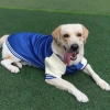 Áo khoác baseball chó lót len ấm giảm rủng lông size 7XL cho Labrador và mèo mùa đông 6