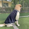 Áo khoác baseball chó lót len ấm giảm rủng lông size 7XL cho Labrador và mèo mùa đông 8