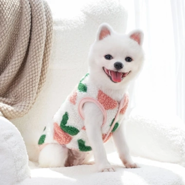 Áo khoác nỉ giữ ấm mùa đông cho chó mèo nhỏ, dày mềm, chống gió, có khoen dây dắt, phù hợp Poodle, Corgi, Pug, Bichon, Chihuahua, mèo Anh - Giá 312.404₫