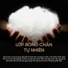 Áo khoác phao nam siêu nhẹ S2 SPORT mũ tháo rời trần bông, chống gió, giữ ấm cực tốt - Giá ưu đãi 488.999đ 3
