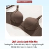 Áo Lót Nữ Không Gọng Nâng Ngực 3/4 Cup Đệm 0,5cm – Gom Gọn, Ôm Sát, Dây Chữ Thời Trang, Co Giãn Êm – 299k 4