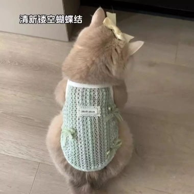 Áo Lưới Camole Thú Cưng Thoáng Mát Mùa Hè Vest Mỏng cho Chó Mèo Giá 170.140 VND 8 Áo Lưới Camole Thú Cưng Thoáng Mát Mùa Hè Vest Mỏng cho Chó Mèo Giá 170.140 VND 8